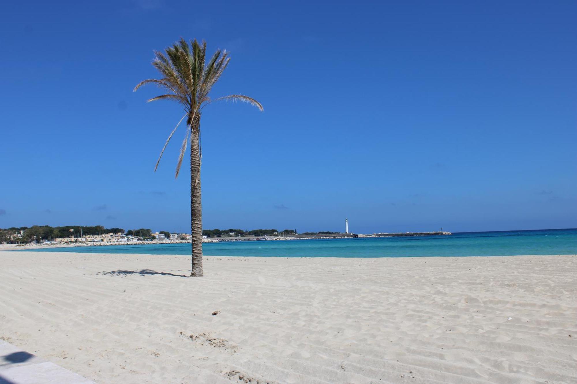 Coral Sand Bed And Breakfast San Vito Lo Capo Esterno foto